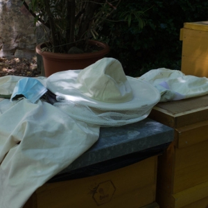 Urkundenübergabe an die Bienen-AG vom Fichte-Gymnasium