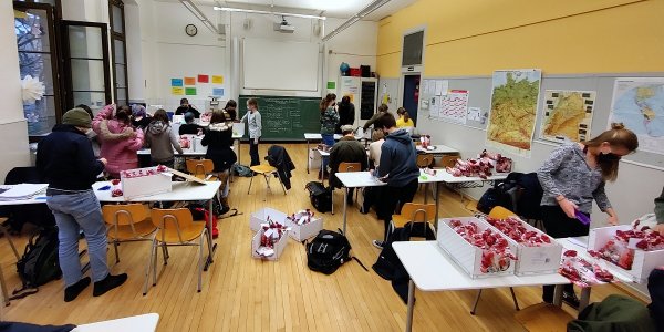 Eine starke Fichte-SMV: Nikolausaktion in den Startlöchern