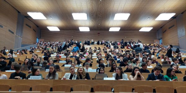 Model United Nations – ein Planspiel zur Simulation einer Sitzungsperiode der Vereinten Nationen