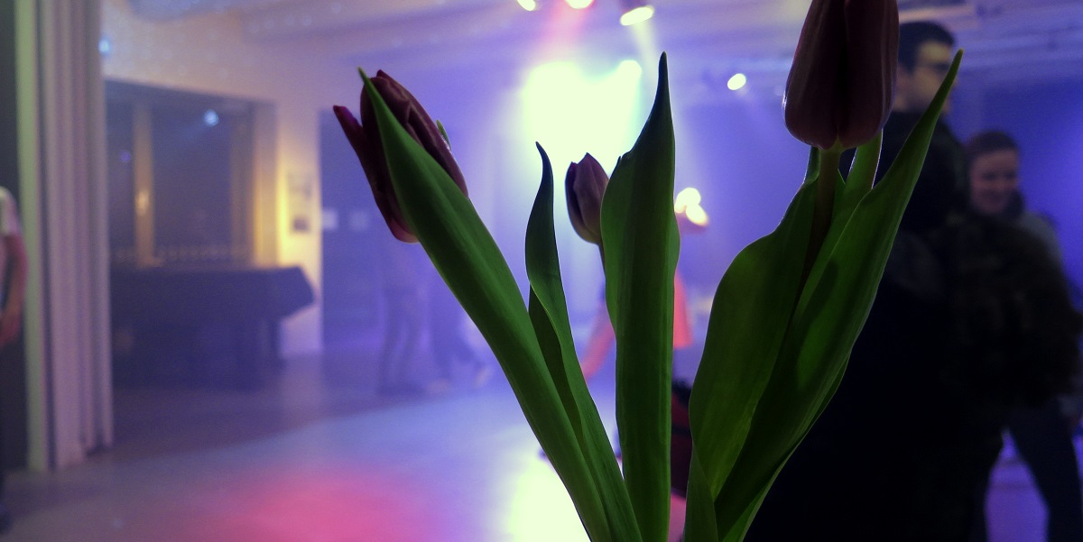 Das Fichte tanzt in den Frühling
